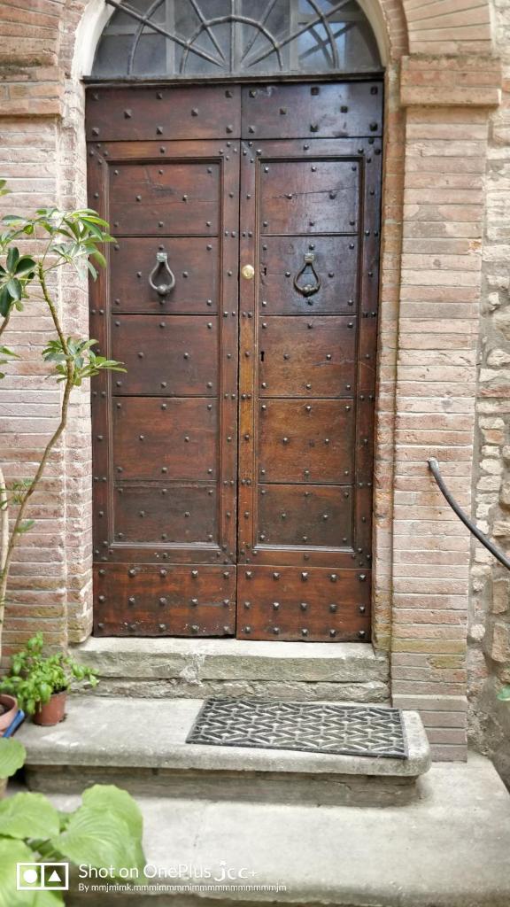 Kairos Montone photo 4