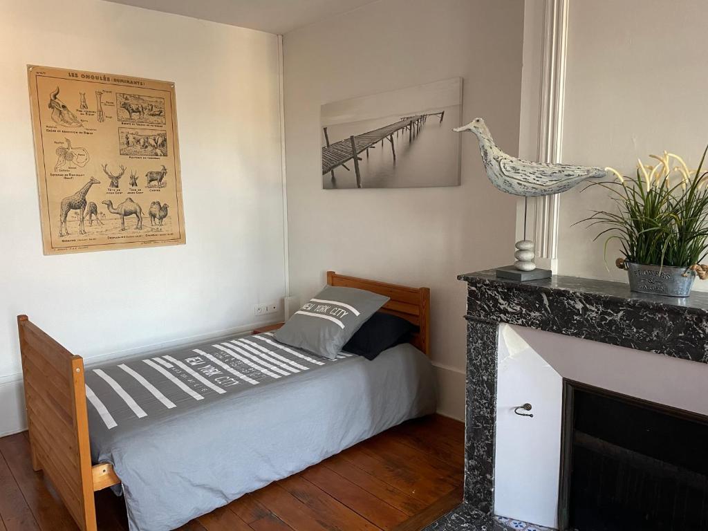 Grand appartement centre ville quartier calme photo 4