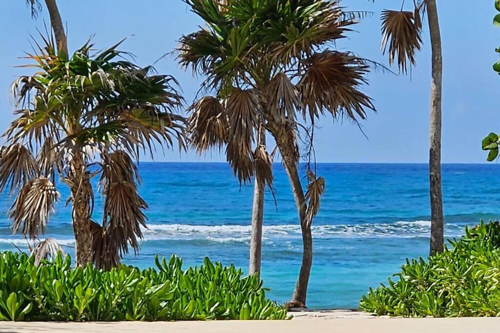 A Sanctuary by the Sea photo 3