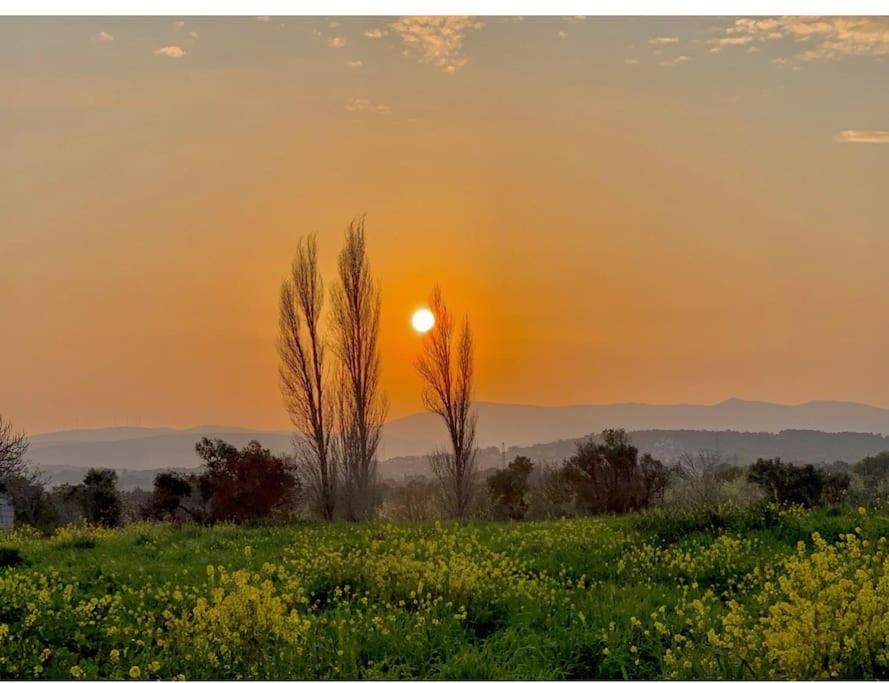 A Fascinating Toscana_like home in Urla photo 1