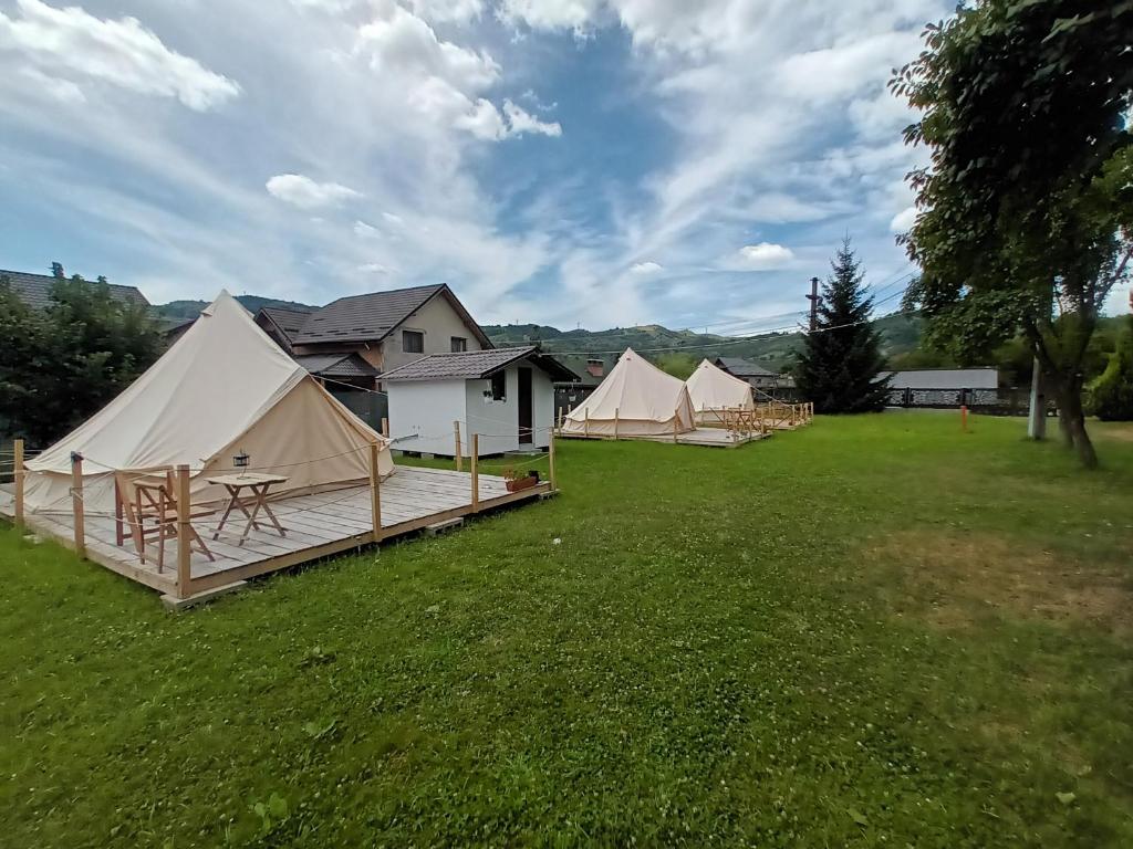 Glamping Iandy Bădeni photo 3