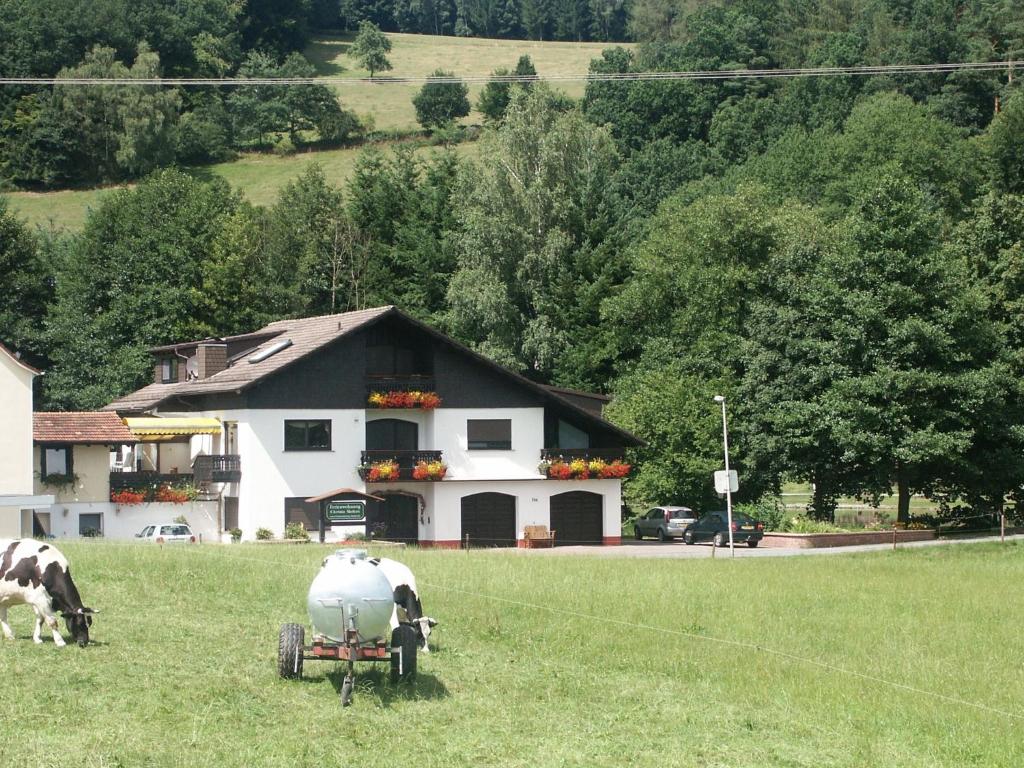 Quaint Apartment in Hüttenthal with Garden photo 4