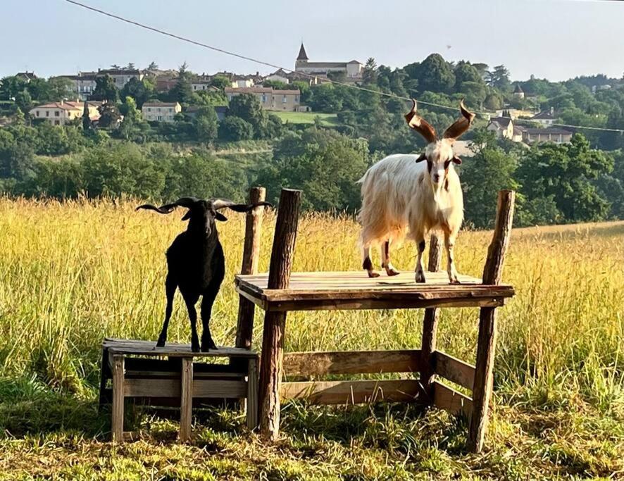 vakantiehuis op boeren erf met waanzinnig uitzicht photo 4