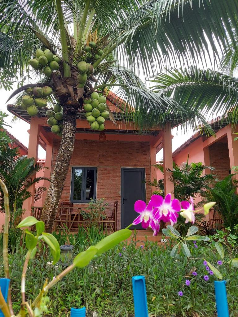 The An An Bungalow Homestay Phu Quoc