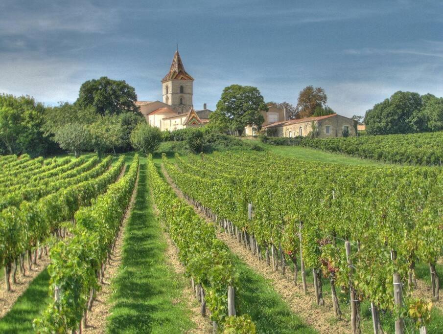 La Casa CALM entre vignoble et estuaire photo 2