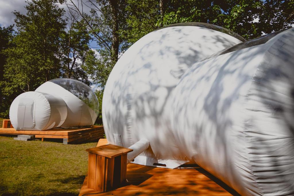 Golden Glamping nad Narwią photo 3