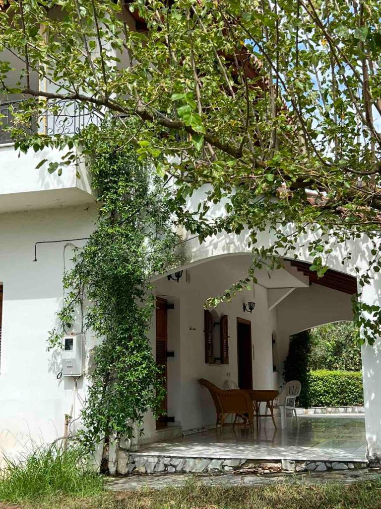 GABBIANO VILLA photo 1