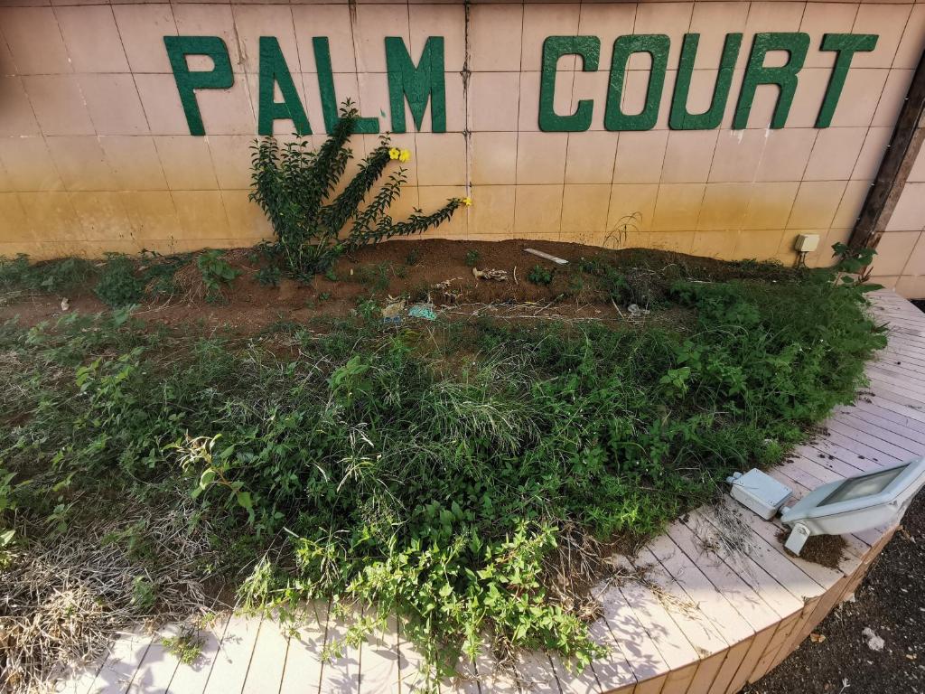 DIY Palm Court Bedroom