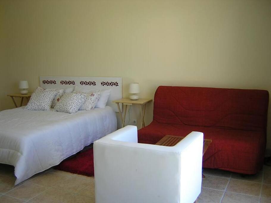 Gîte Le Trèfle Studioescos photo 4