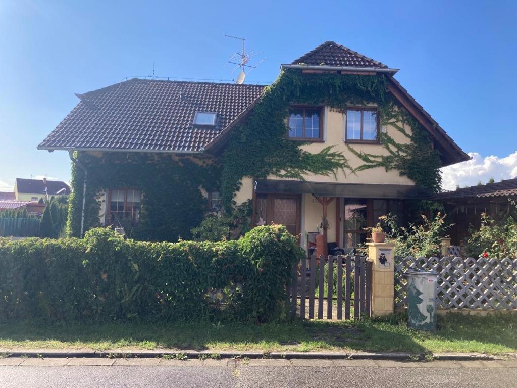 U Sovičky photo 4