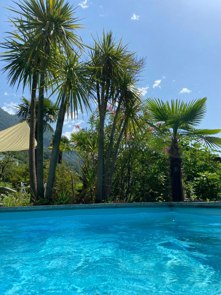 Sete Fontes - Agarone Holiday Nest photo 2