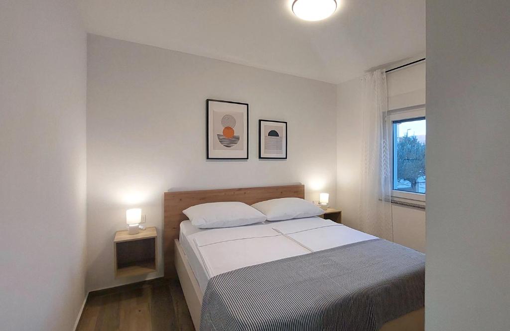 Maslenica Apartments photo 2