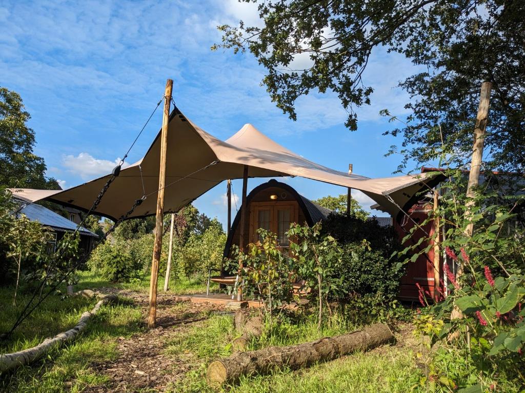 Boshut "Het Zwijntje" met sauna photo 1