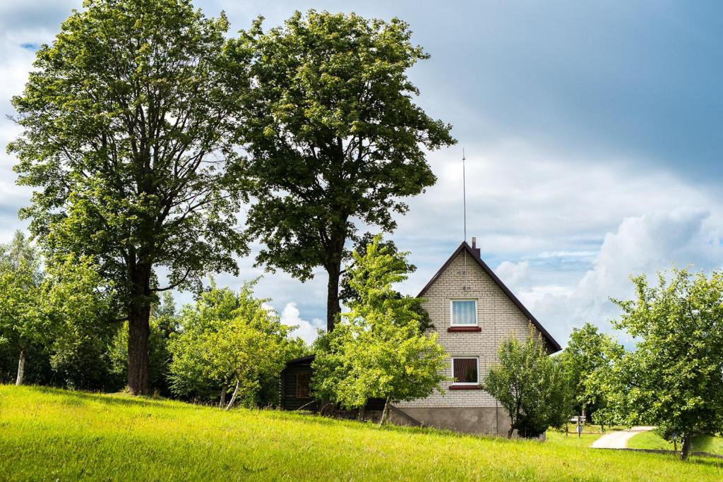 Minavuonė photo 4