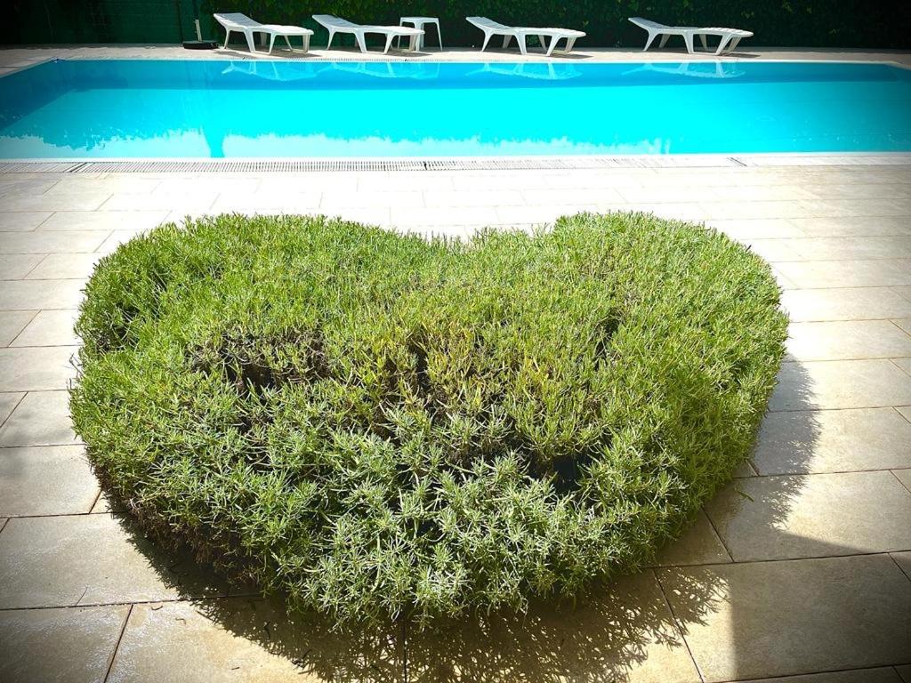 Pansion Villa Margerita photo 2