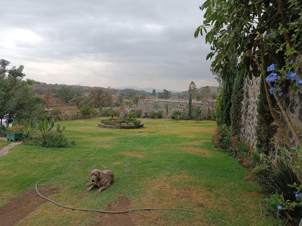 ALOJAMIENTO CAMPESTRE photo 1