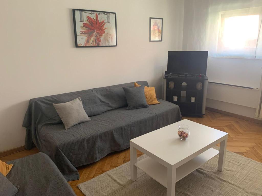 Belgrade Garden Apartment photo 1