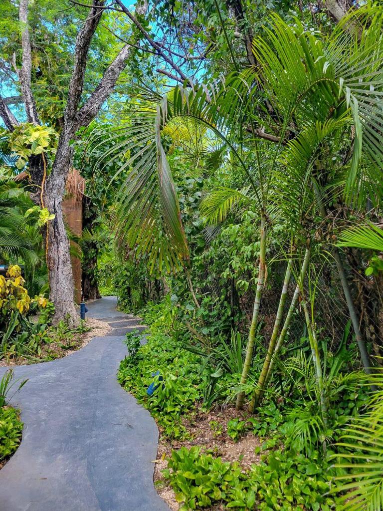 Maui Hostels Tulum photo 4