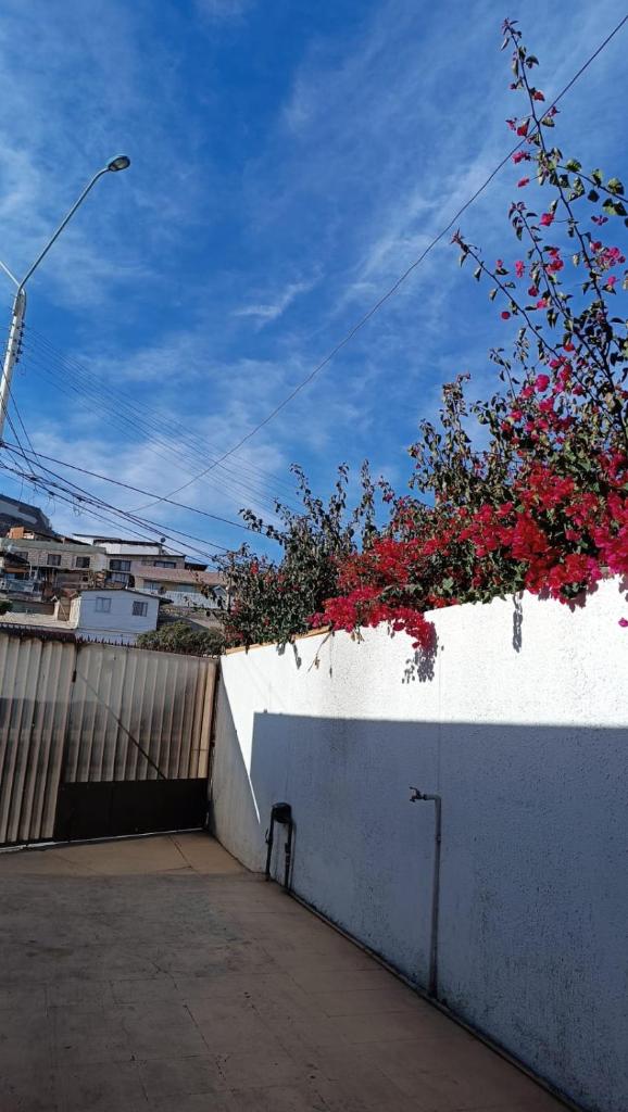Residencial familiar EL Valle photo 2