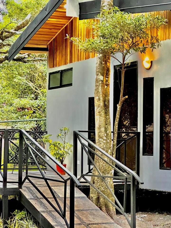 Bungalow Roca Verde Monteverde photo 3