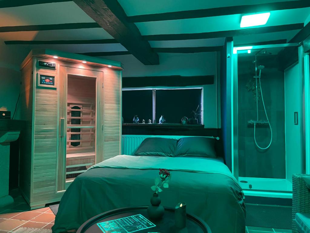 Casawellness améthyste ou jaspe océan avec jacuzzi intérieur photo 3