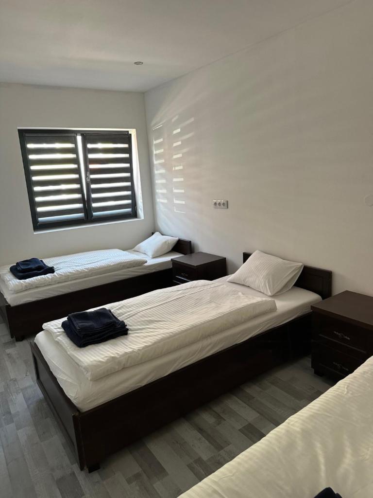 Guesthouse photo 3