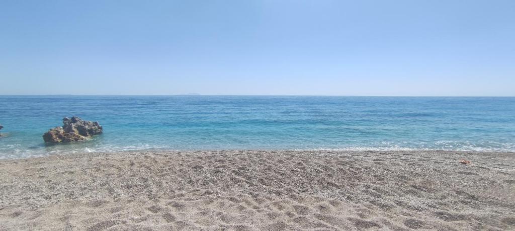 The Sea Turtle Camp photo 2