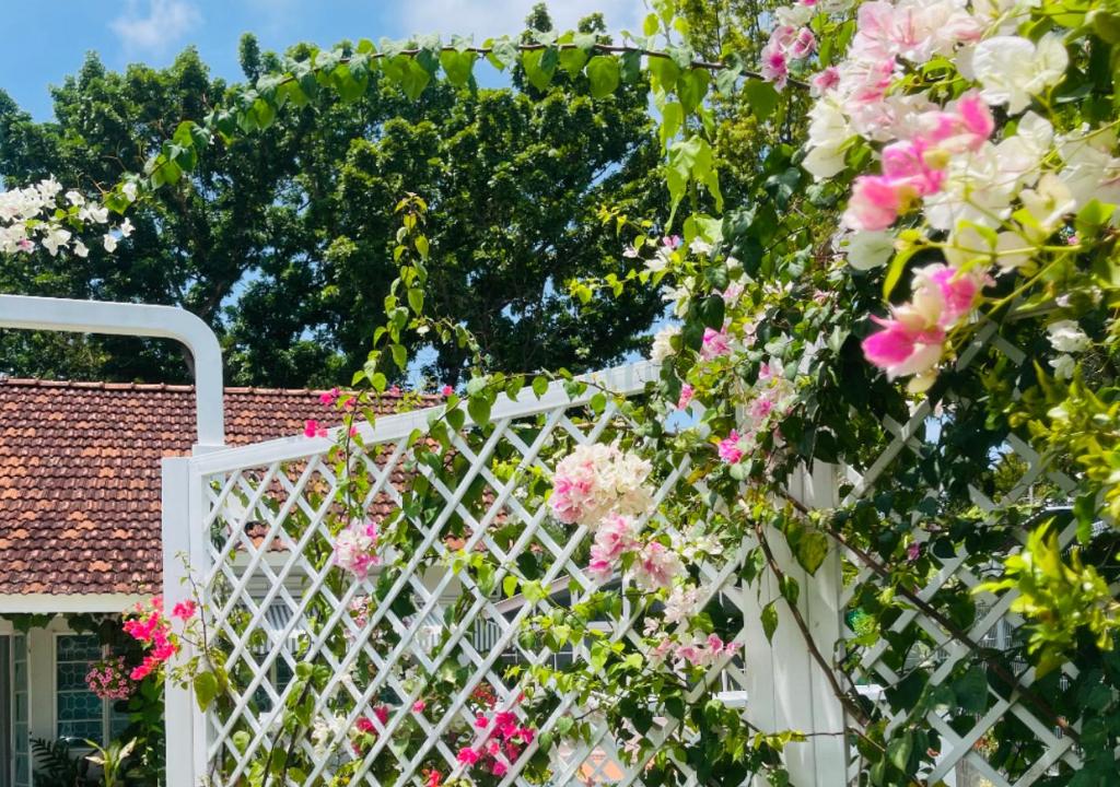 British Granny's Cottage in Penang Island photo 1