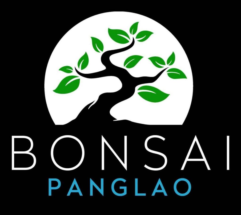 Bonsai Jacuzzi Suites photo 2