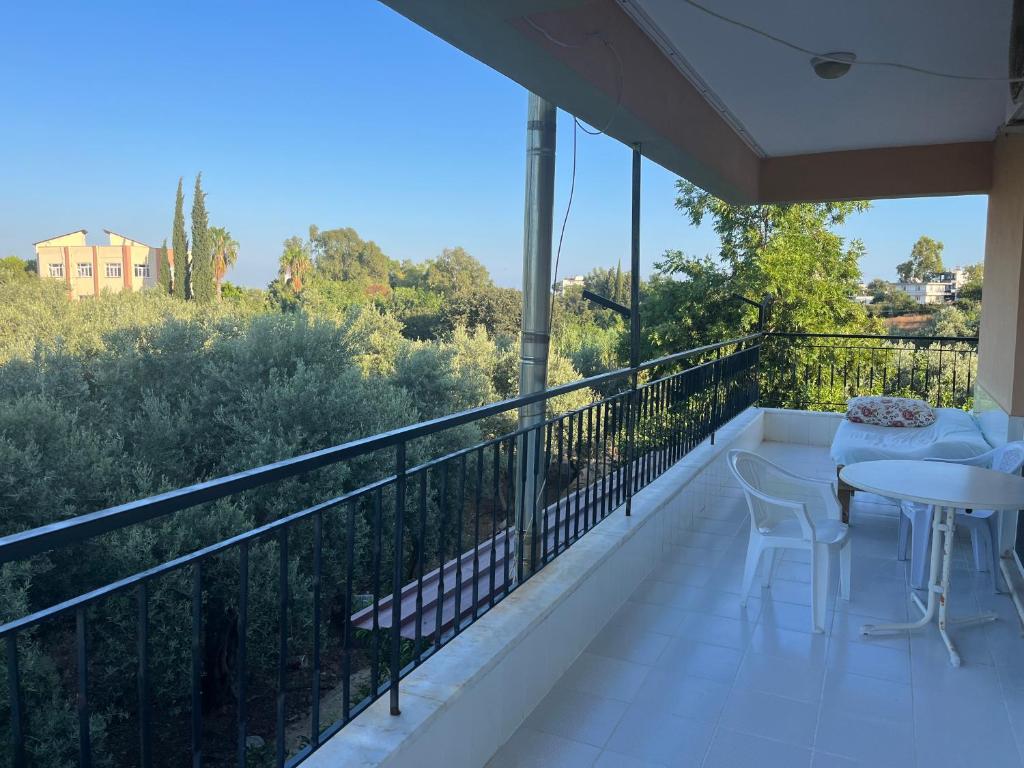 Inside olive trees, 7 min to sea photo 3