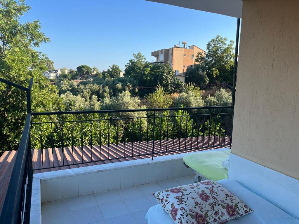 Inside olive trees, 7 min to sea photo 4