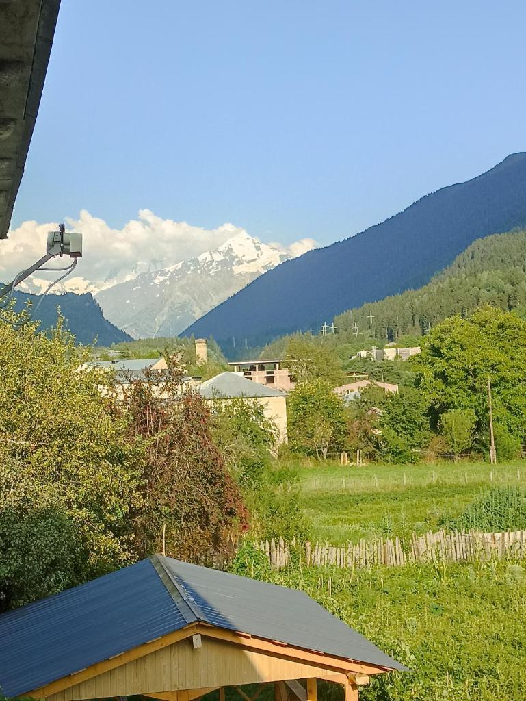 Jeiran Japaridze's Guesthouse photo 2
