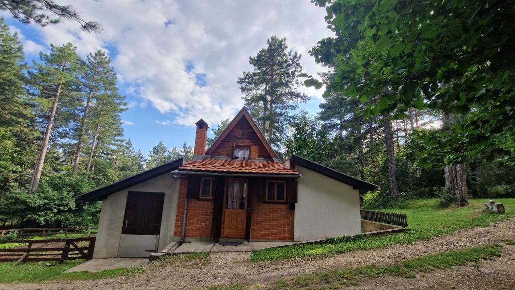 Šumska jagoda photo 1