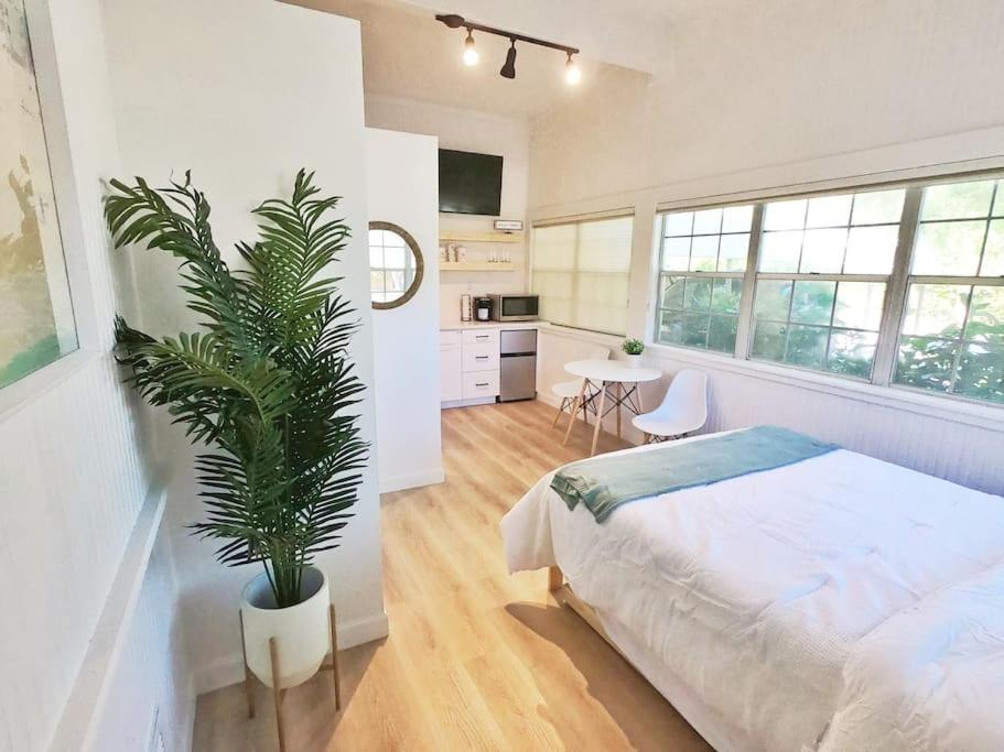 The Cocohut Studio 8 Blocks to Beach and PIER photo 1