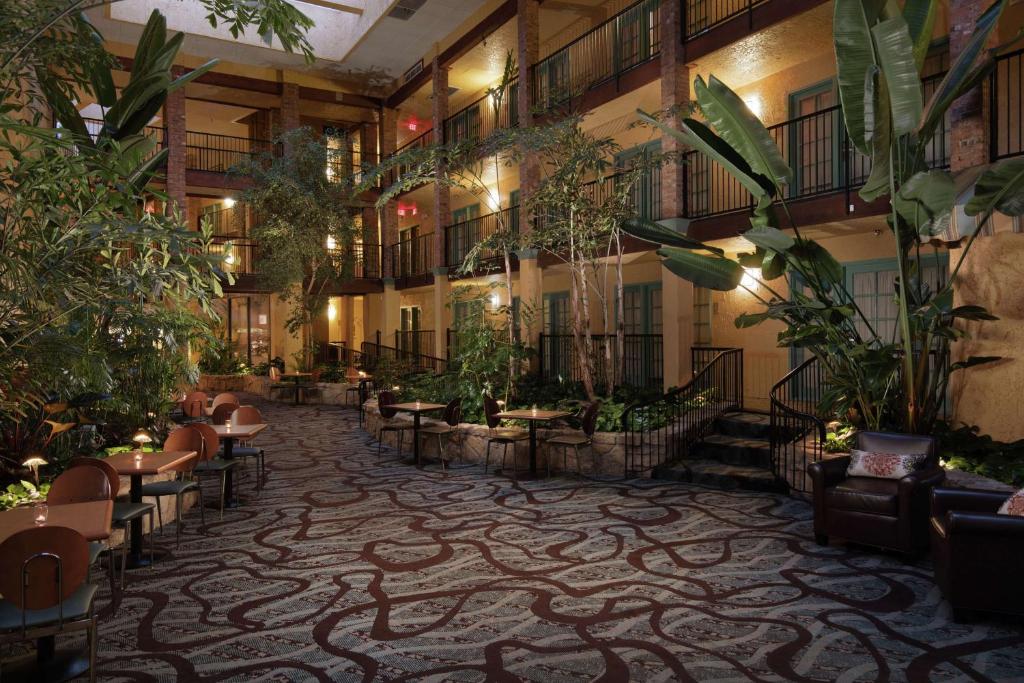 Embassy Suites Lubbock photo 4
