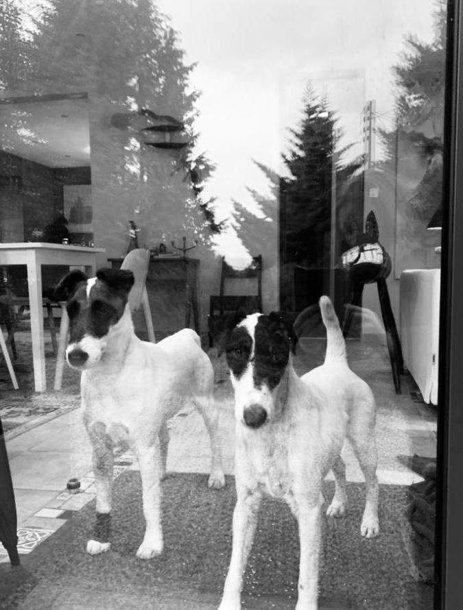 La Colline des Renards Chambres photo 1