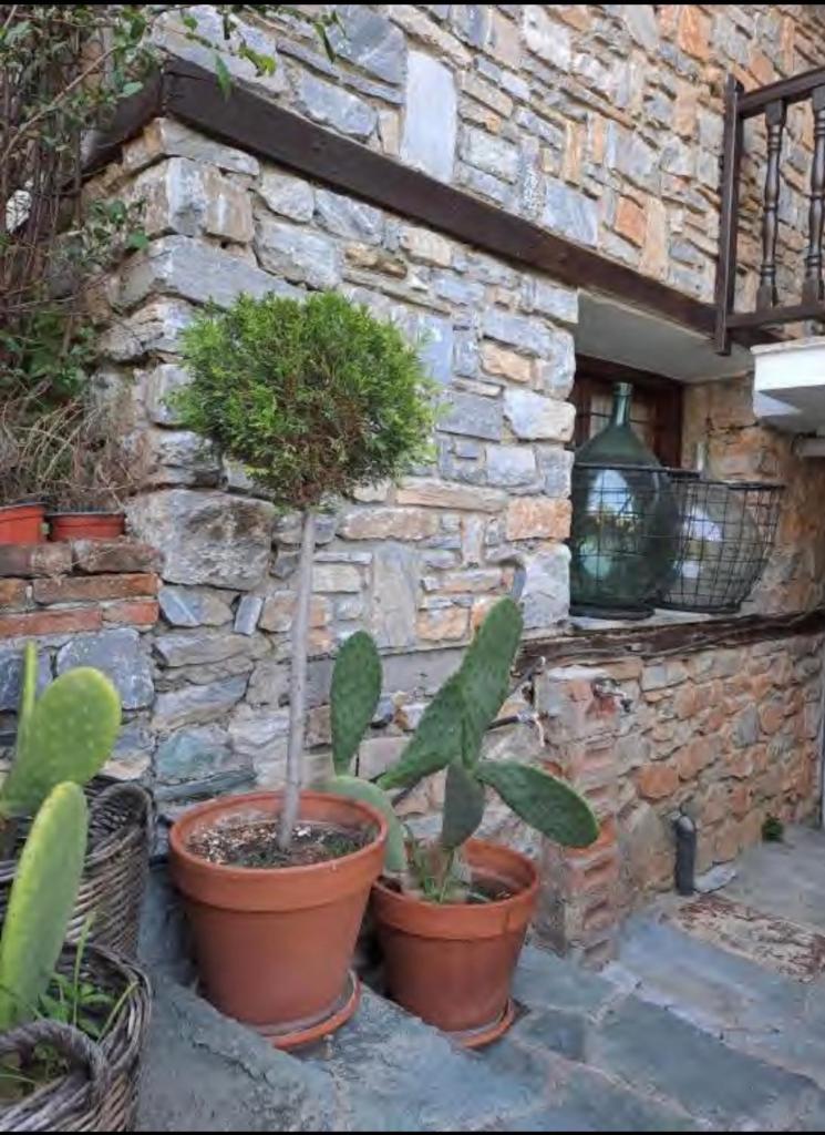 9mouses Chasiotis Guest House photo 3
