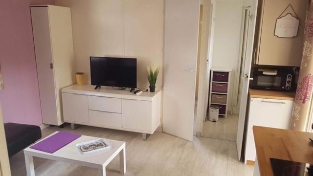 Location de Mobile-home dans camping 5 étoiles photo 2