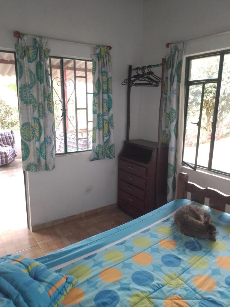 Finca Umnisa - Choachi photo 2