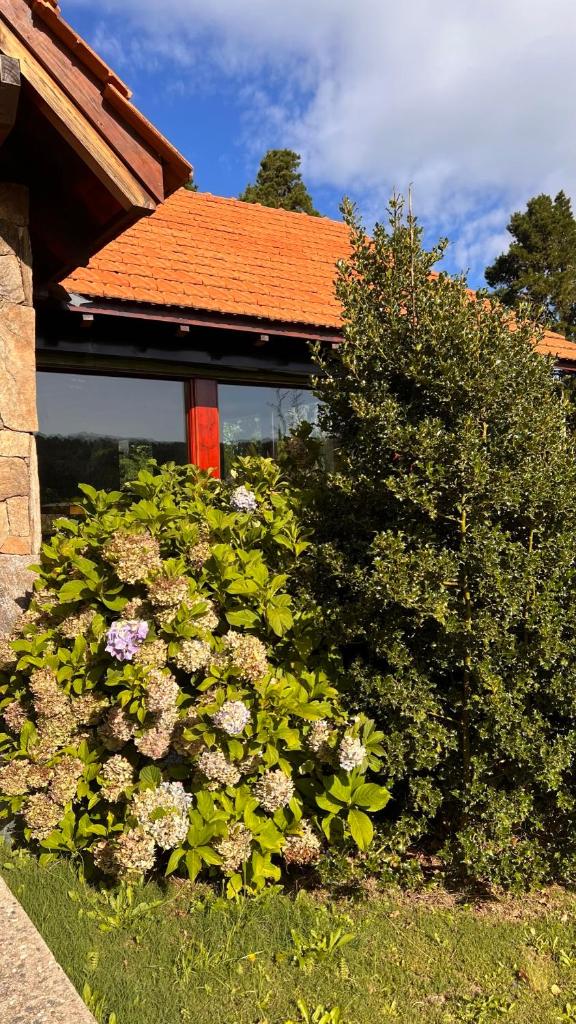 Villa Berna Casa Boutique photo 3