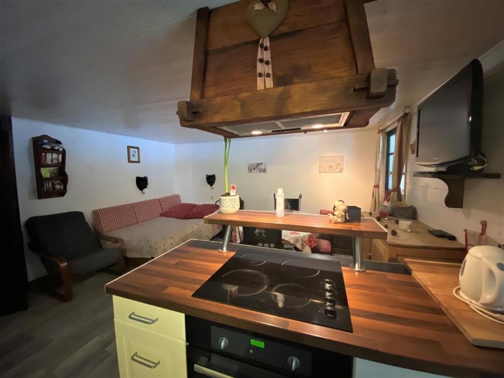 Appartement Morzine, 2 pièces, 4 personnes - FR-1-754-41 photo 2