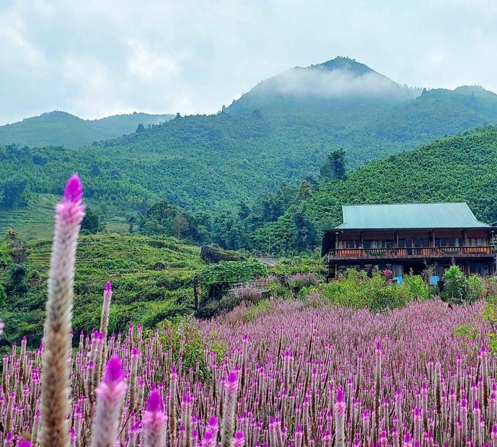 Sapa Big Rock Ecohome