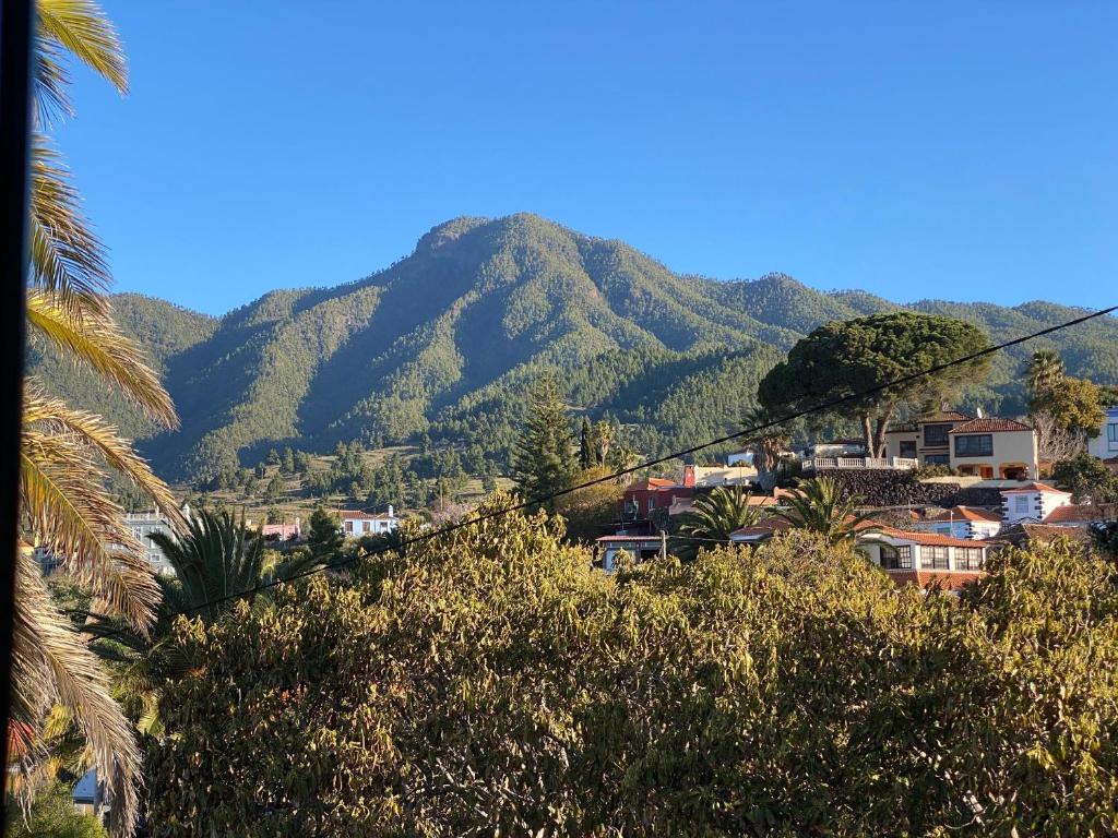 Casa Palmera Canaria, früher Finca Sambal photo 3