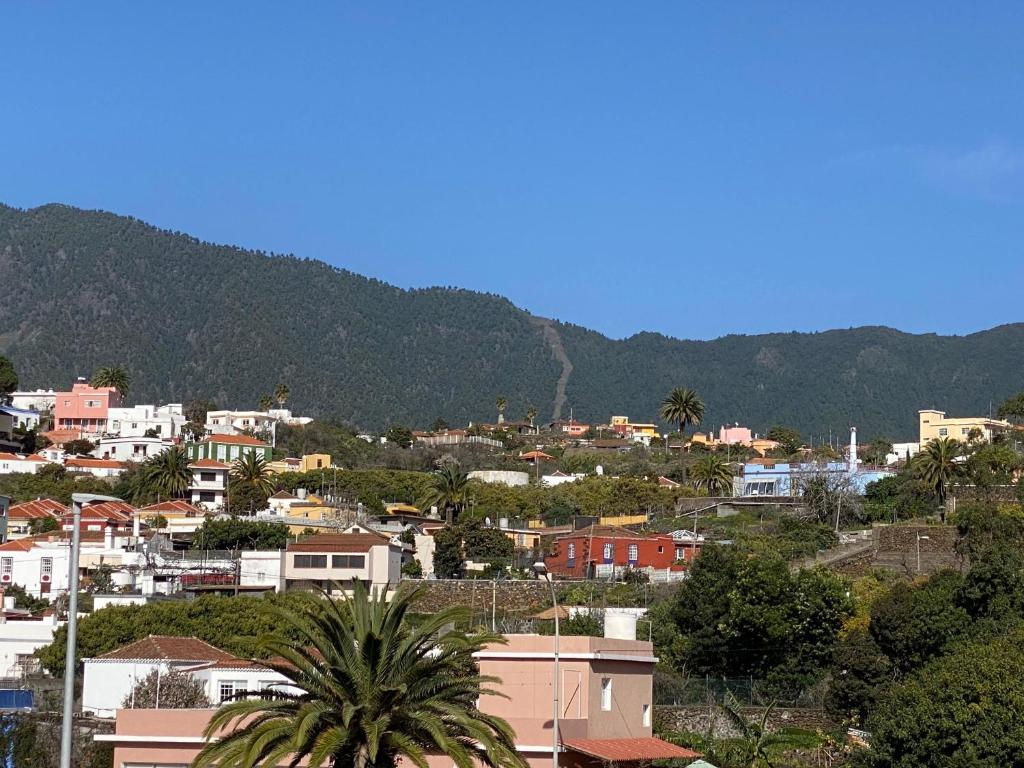 Casa Palmera Canaria, früher Finca Sambal photo 4