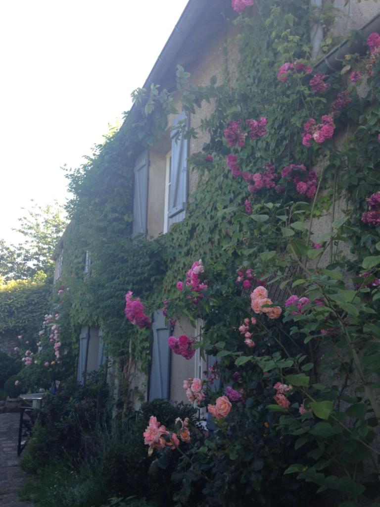 Grande maison avec jardin arboré photo 3