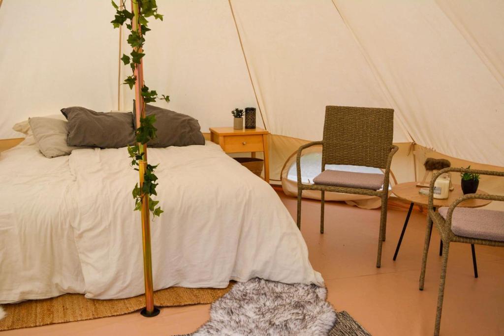 Glamping Bolmen, Seaview, free canoe photo 1