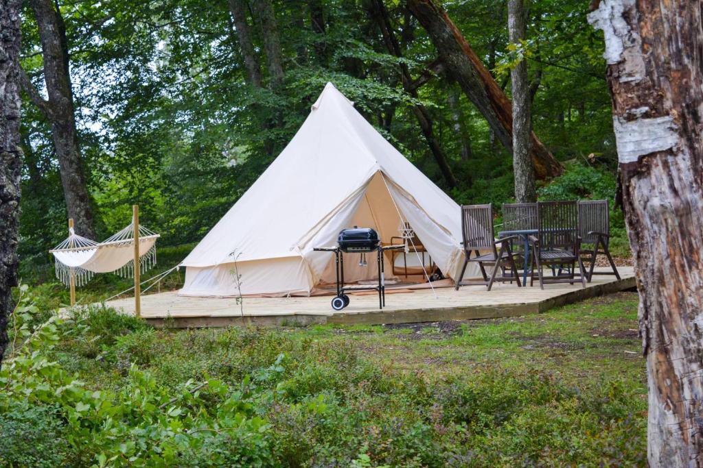 Glamping Bolmen, Seaview, free canoe photo 2