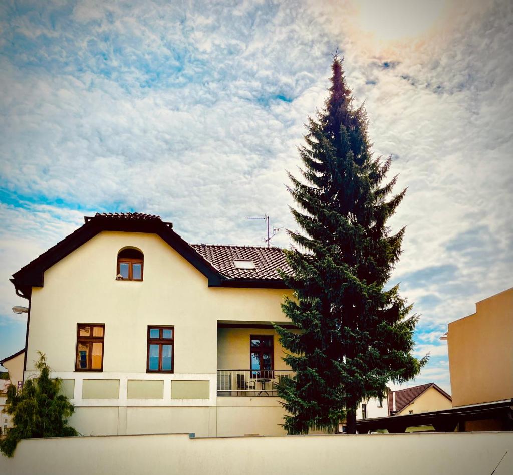 Apartmán U SMRKU