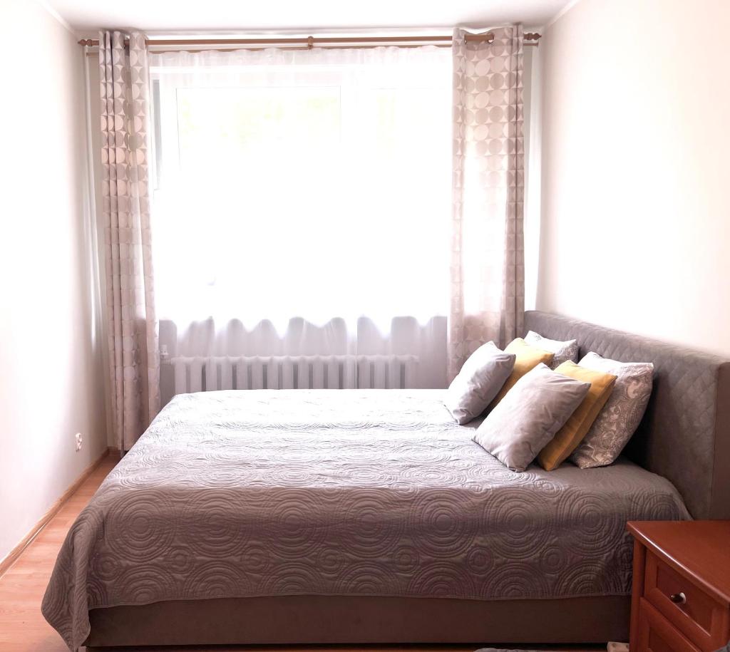 Comfy classic apartment in Trakai photo 1