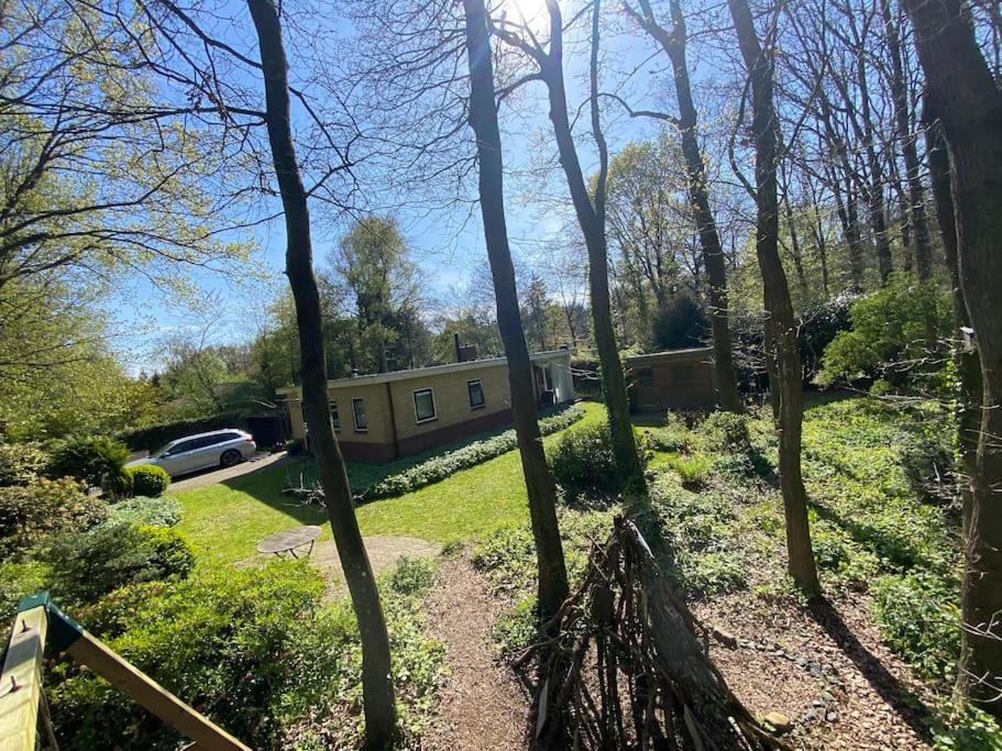 Bosbungalow Appelscha